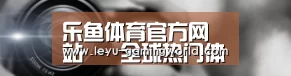 公司动态