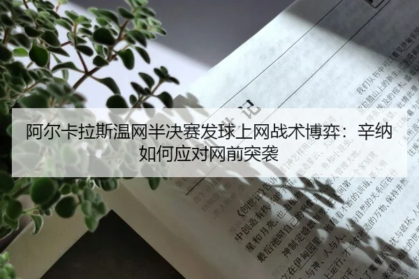 a-er-ka-la-si-wen-wang-ban-jue-sai-fa-qiu-shang-wang-zhan-shu-bo-yi-xin-na-ru-he-ying-dui-wang-qian-tu-xi-2-393.jpg