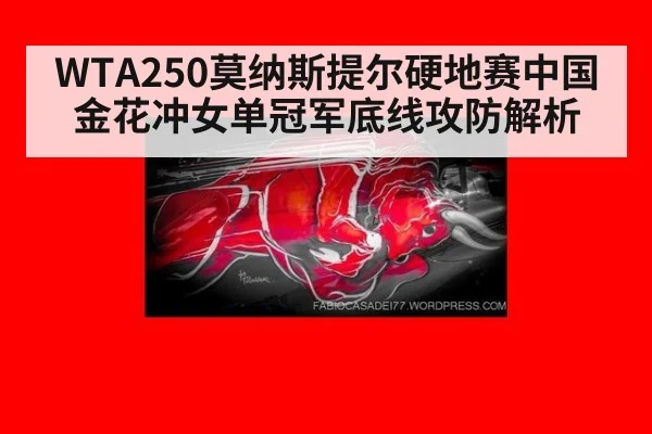 WTA250莫纳斯提尔硬地赛中国金花冲女单冠军底线攻防解析